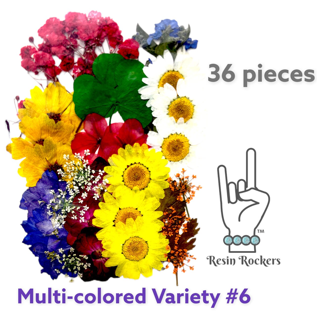 36 Piece Multi-colored Variety #6 Dried Pressed Real Natural Flowers For Epoxy & UV Resin Art